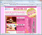 BTB���b�r�o�V�X�e��